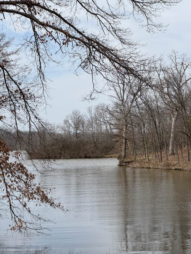 walking near me in Silver Lake Park in spring