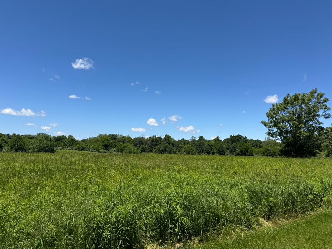 walking near me in Greenspace East Park in spring