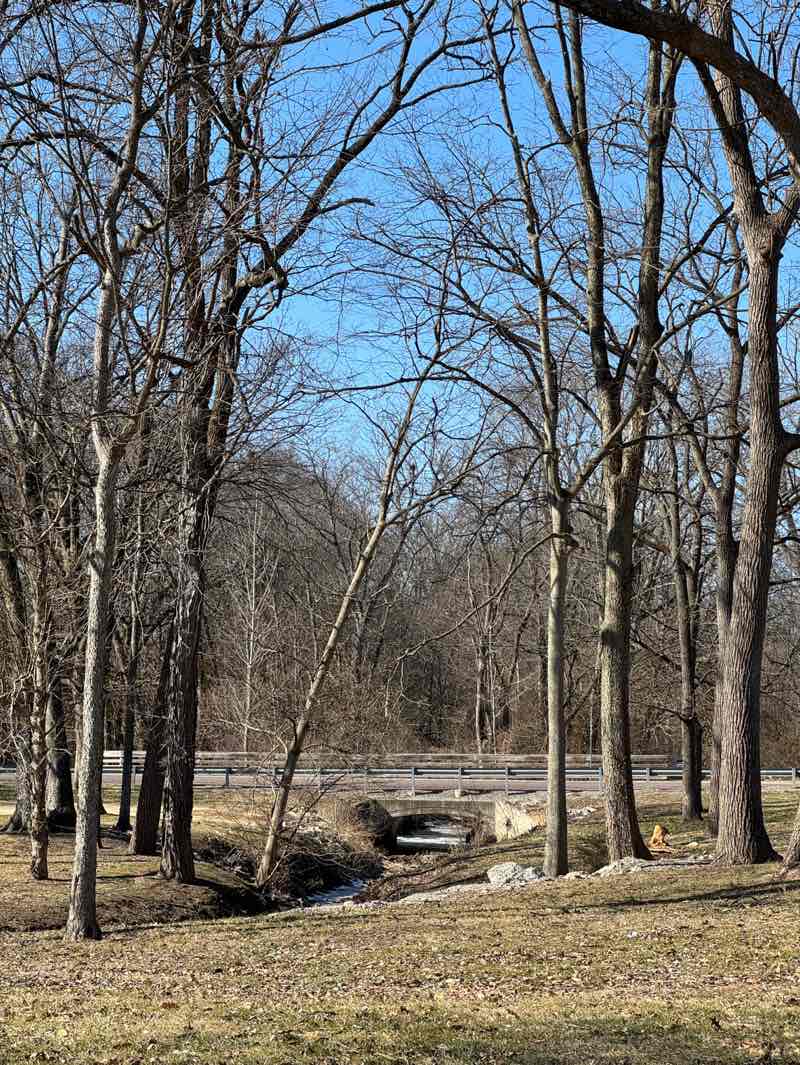 walking near me in Lindendale Park in winter