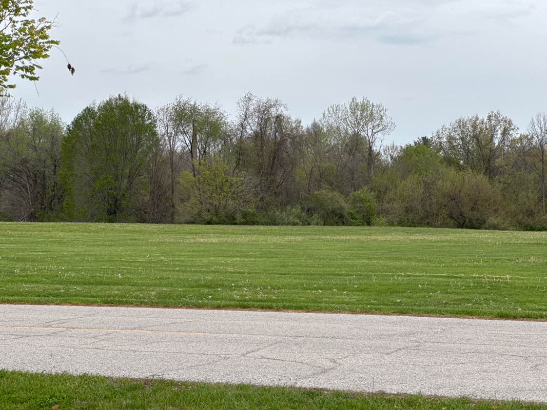 walking near me in Gordon F. Moore Community Park in spring