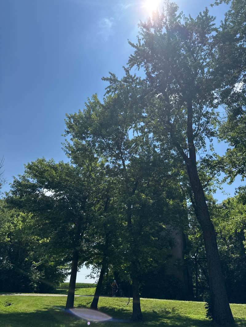 walking near me in Greenspace East Park in summer