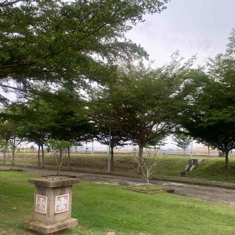 Nur Akmal Amirah post 1