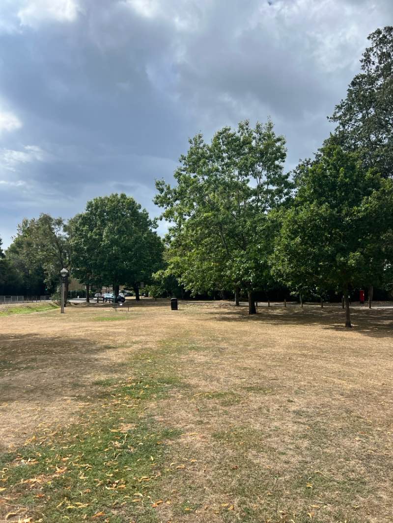 walking near me in Giggs Hill Green in autumn