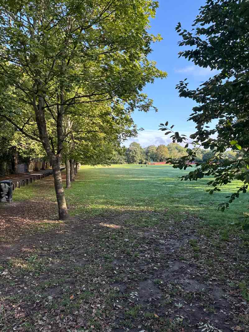 walking near me in Lynwood Road Recreation Ground in autumn