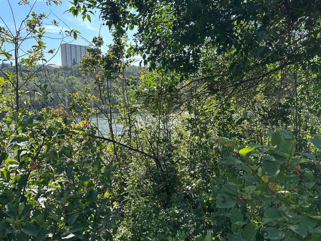 walking near me in ÎNÎW River Lot 11∞ Indigenous Art Park in summer