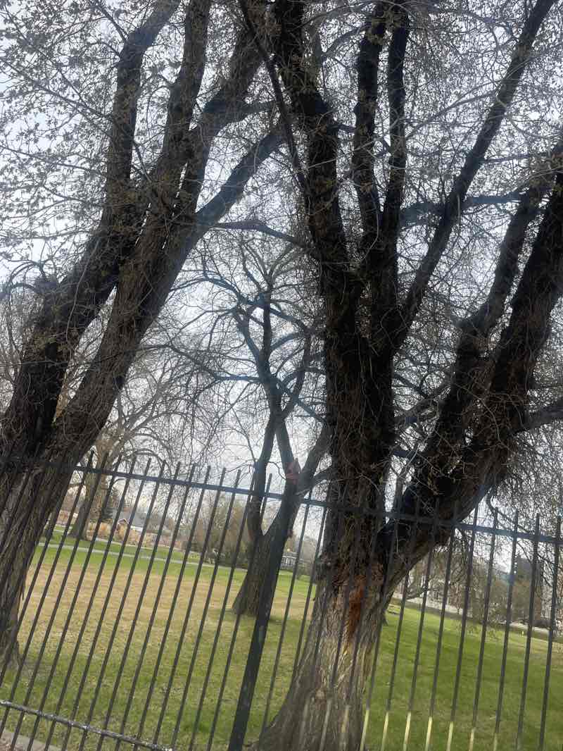 walking near me in Brewery Gardens in spring