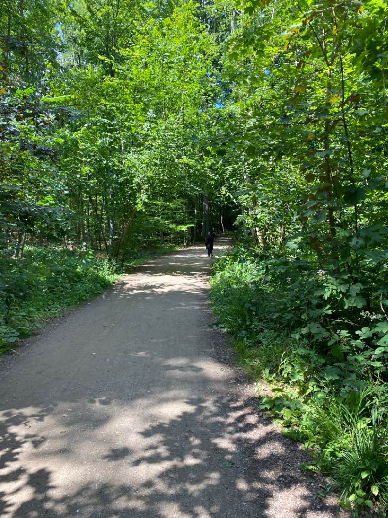 walking near me in Kurpark in winter