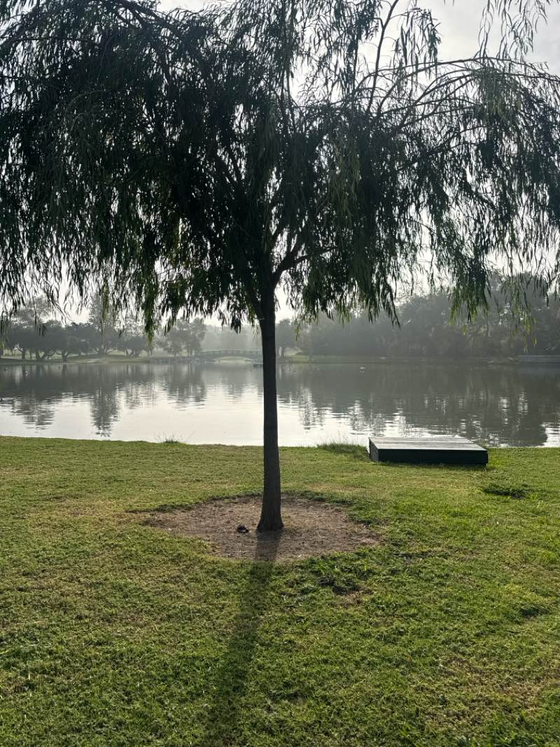 walking near me in William R. Mason Regional Park in autumn