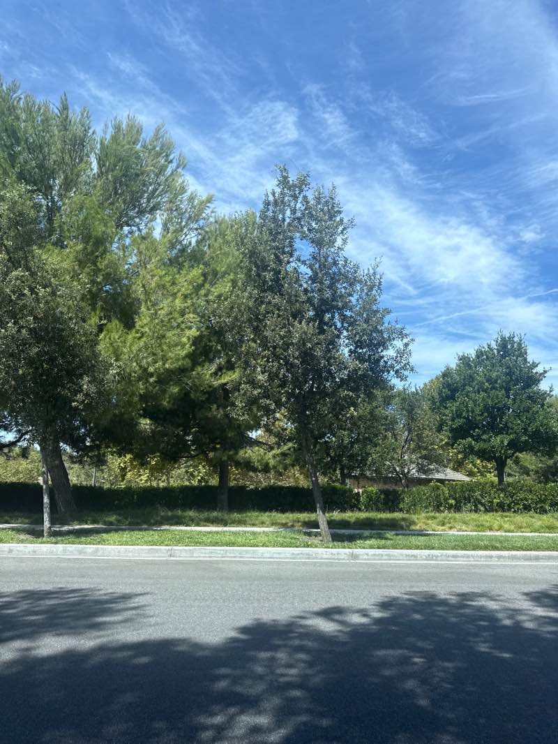 walking near me in Jeffrey Open Space Trail in autumn
