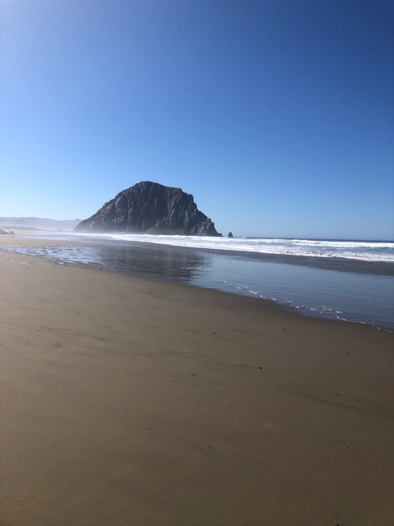 walking near me in Morro Strand State Beach Campground in spring