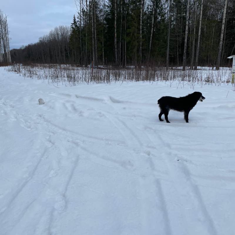 Татьяна post 3