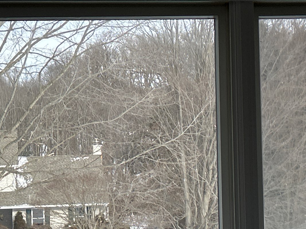 walking near me in Sadsbury Woods Preserve in winter