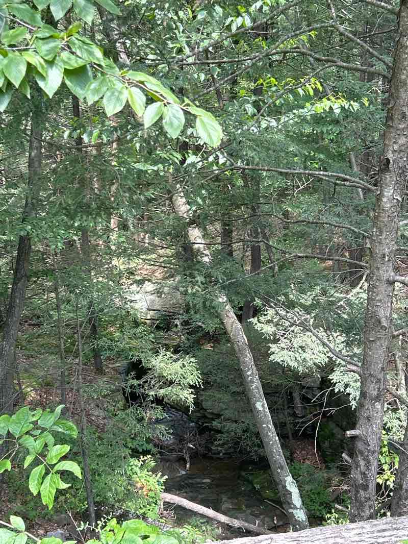 walking near me in Seven Tubs Recreation Area in summer
