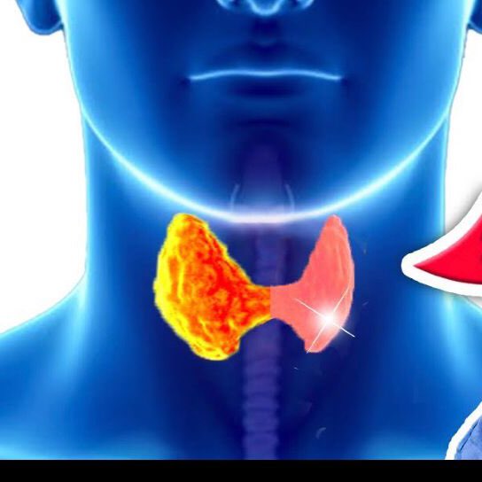 Vandana Yadav post 1