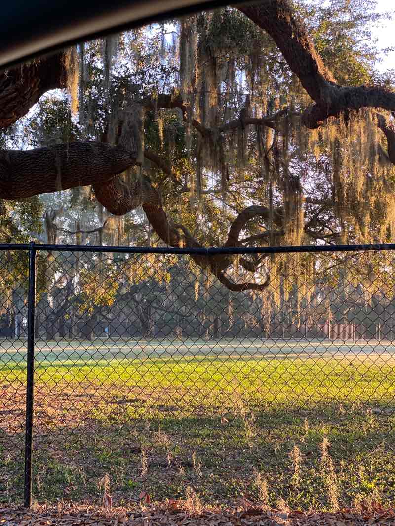 walking near me in Warren Park in winter