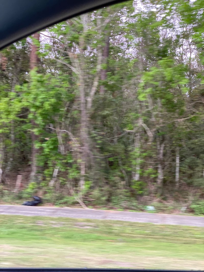 walking near me in Hamilton's Reserve in winter