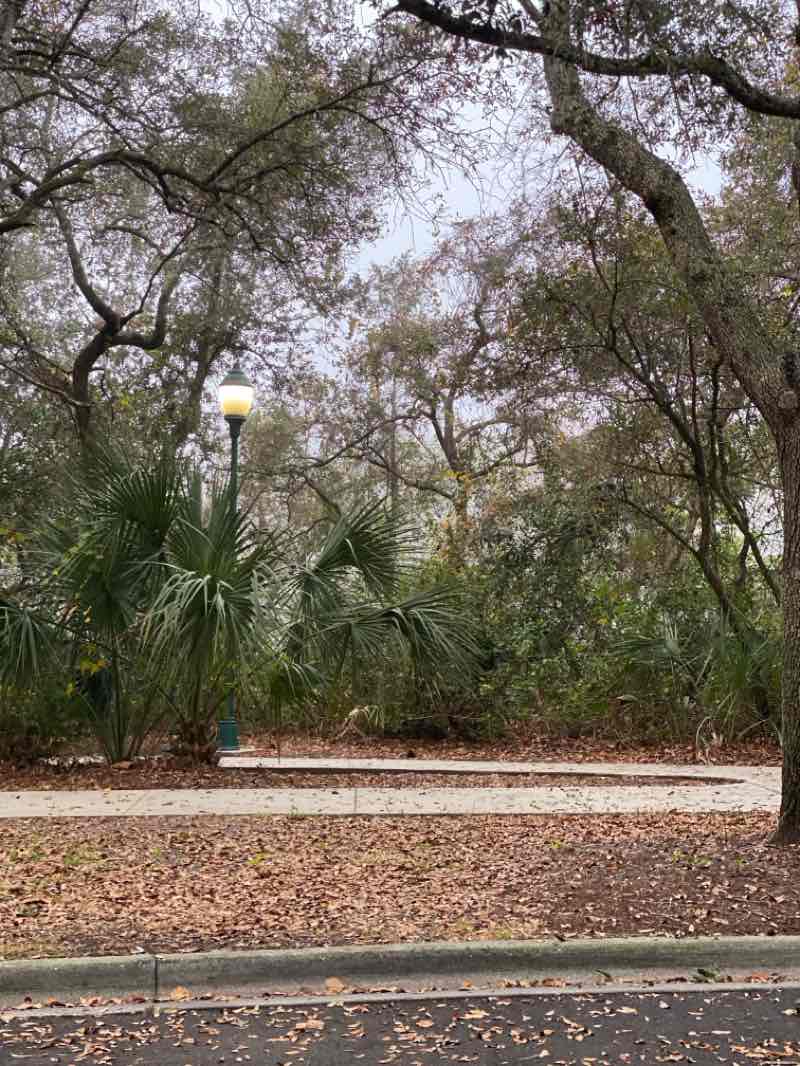 walking near me in Spring Park in winter