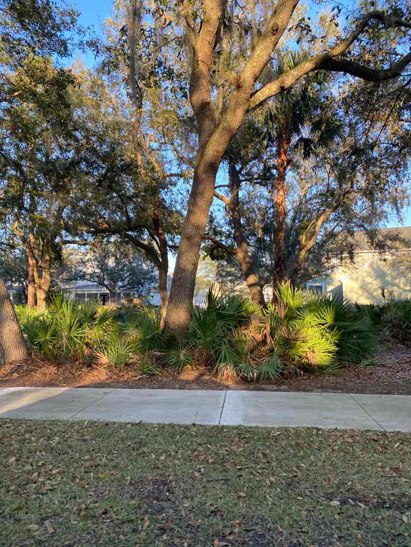 walking near me in Reserve Park in winter