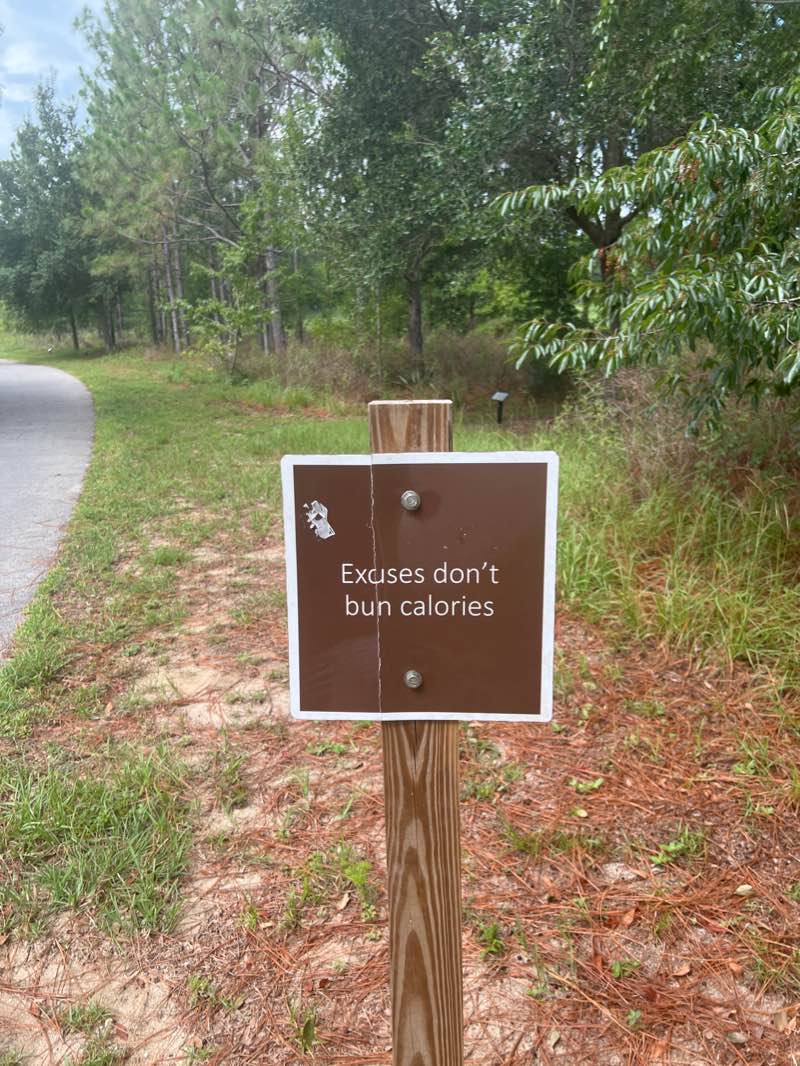 walking near me in Marshall Swamp Tract in winter
