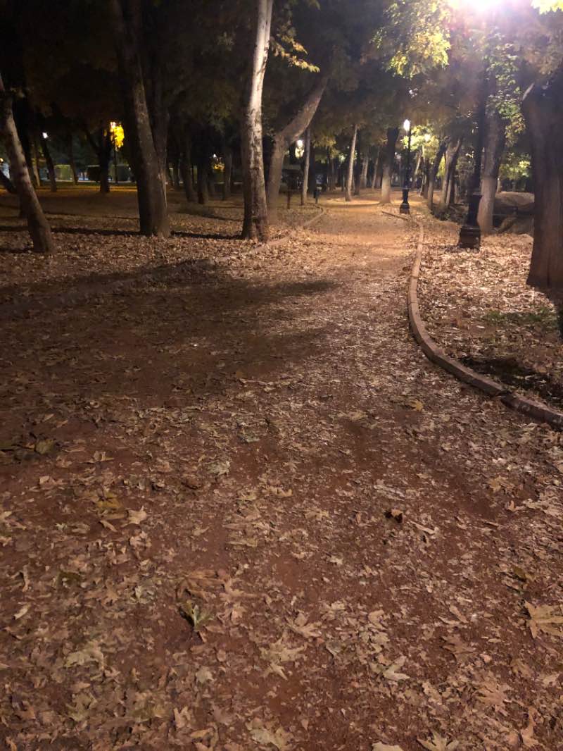 walking near me in Uzay parkı in winter