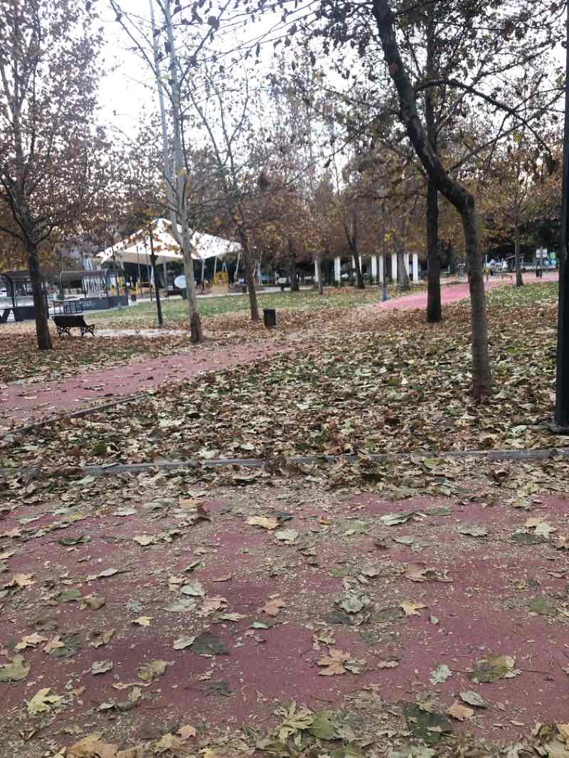 walking near me in Celal Doğan Parkı in winter