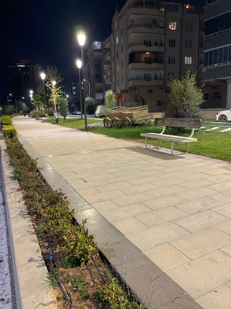 walking near me in Masal Parkı in autumn