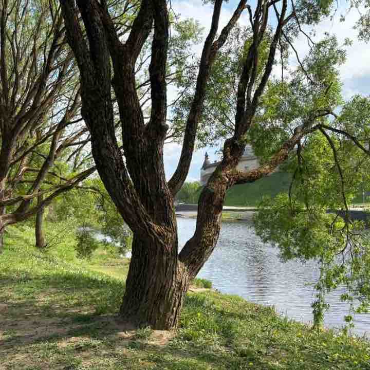 Pskov-sport Екатерина post image