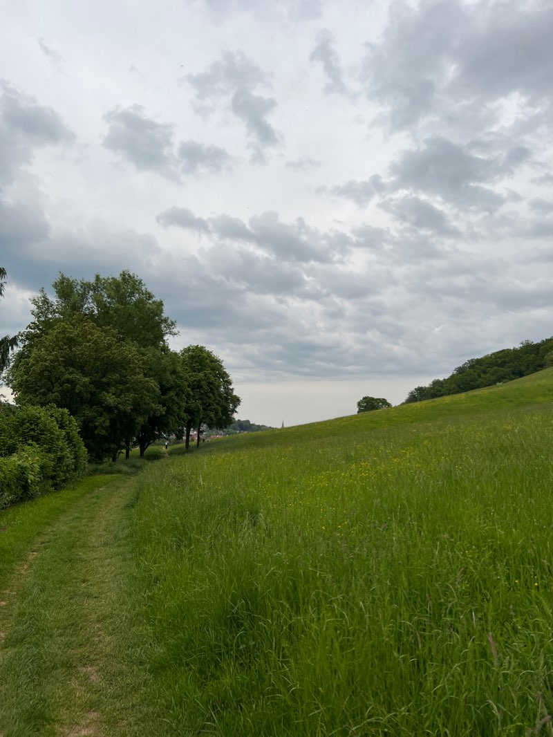 walking near me in Alter Botanischer Garten in winter