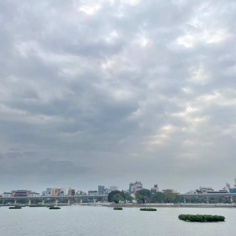 Ngoc Thuy Vu post 1