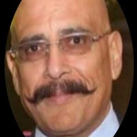 Alaa Elmahdi profile