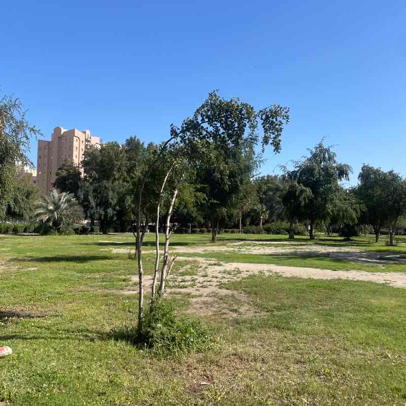 Farzeen Rumane post 1