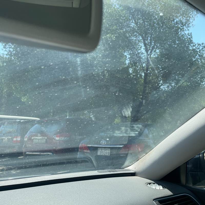 Farzeen Rumane post 1