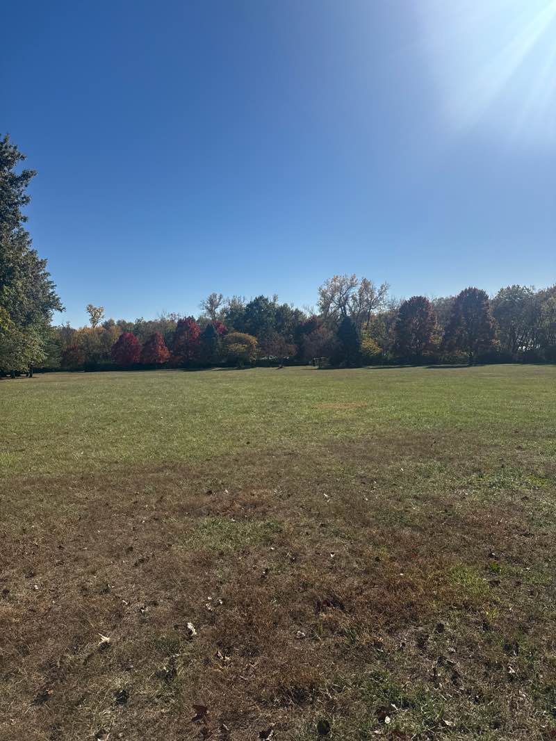 walking near me in Windham Hill Park in autumn
