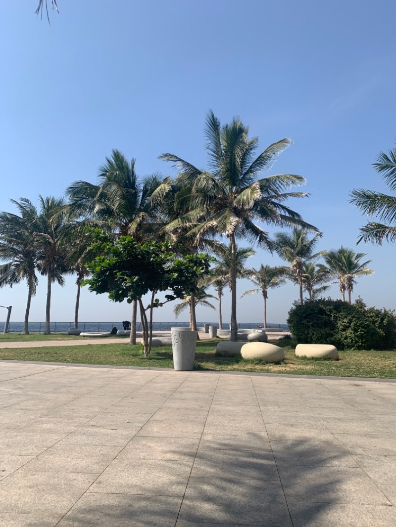 walking near me in The Walk Park in winter