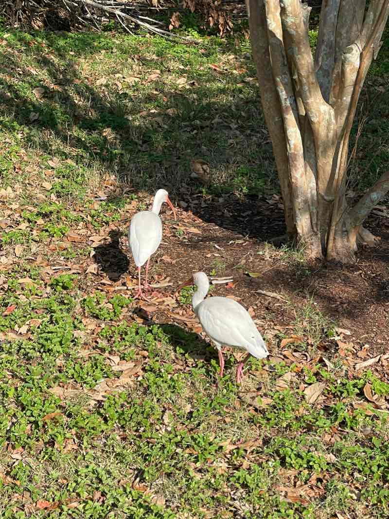 walking near me in Samuel Butts Youth Archaeological Park and Recreational Trail in winter