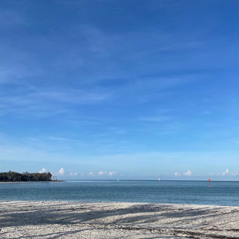 BestTeamEva Step Up Challenge Matthew post image