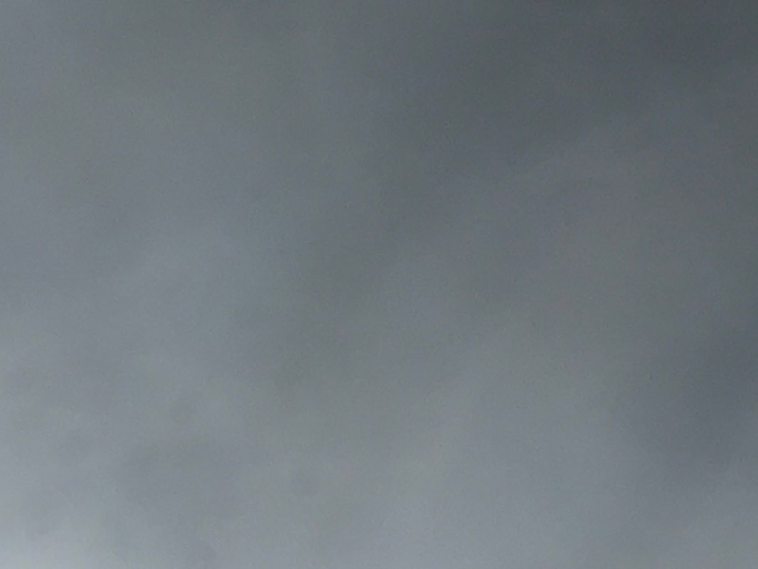 walking near me in John West Park in autumn