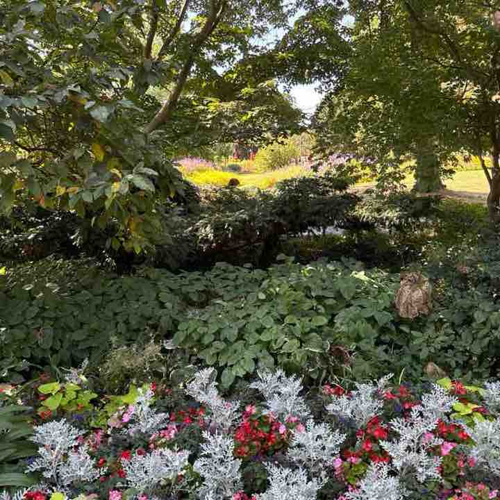 Maik post 1