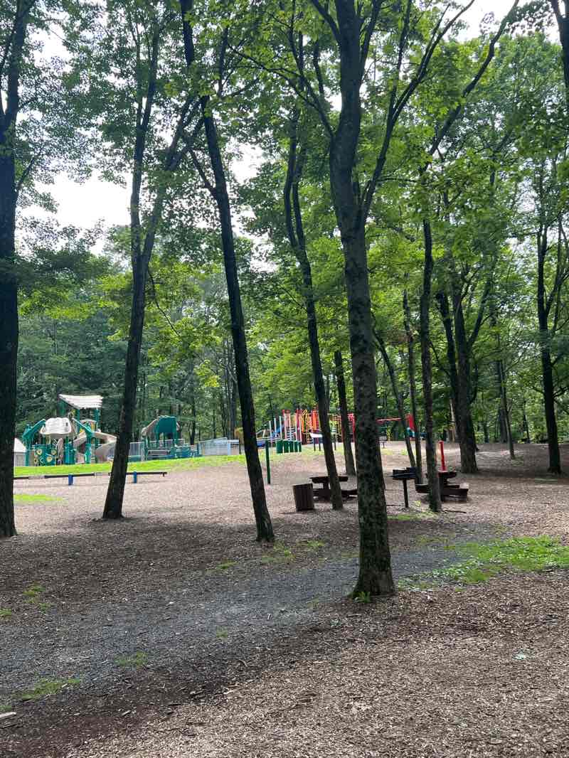 walking near me in Mountain View Park in summer