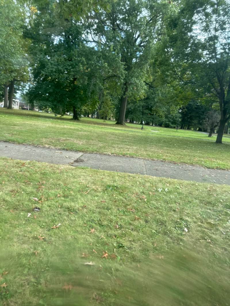 walking near me in Wick Park in autumn