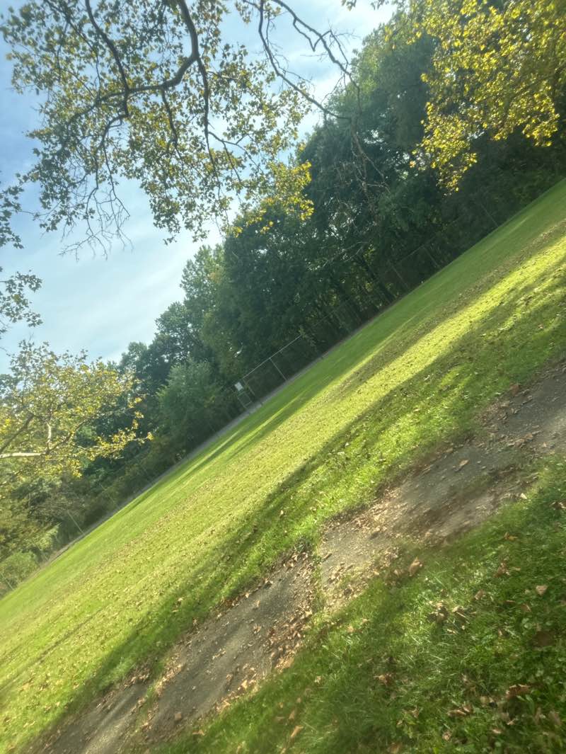 walking near me in Crandall Park in autumn