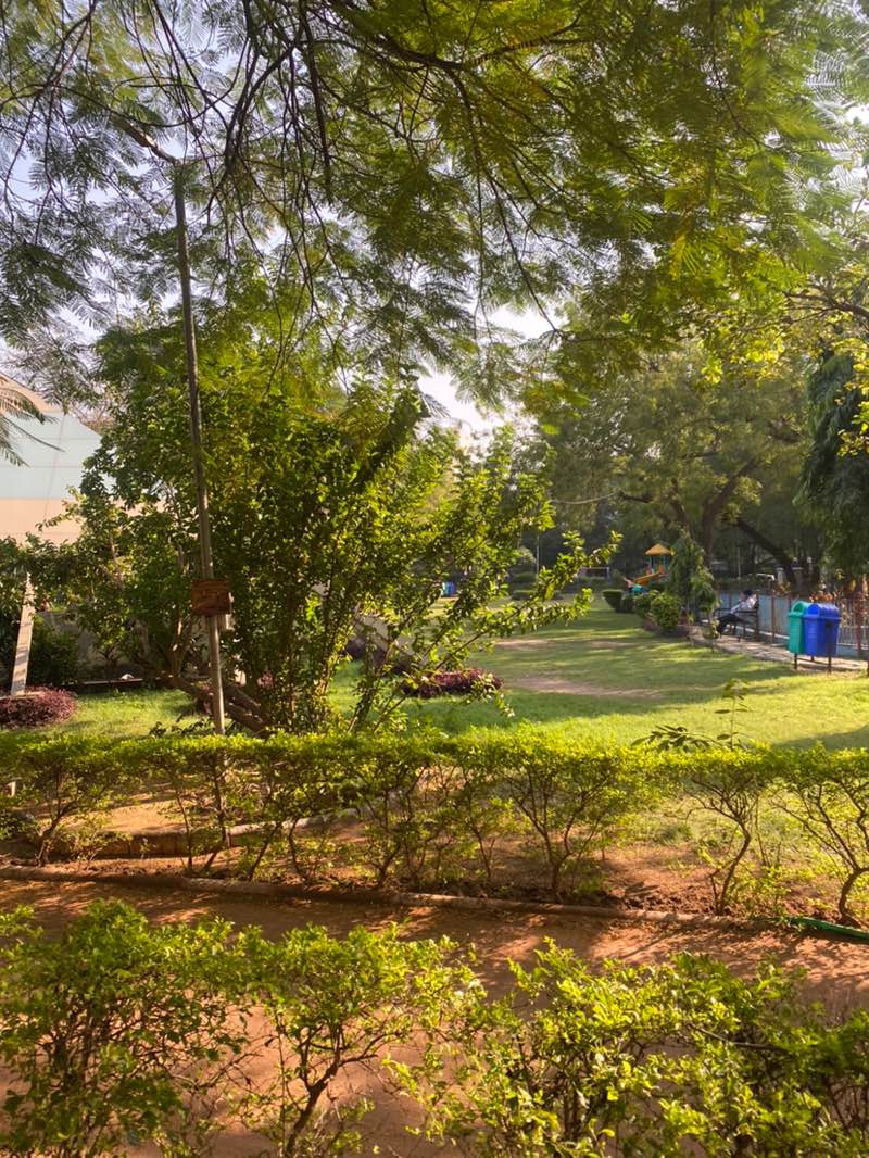 walking near me in Prahladbhai Patel Joggers Park in autumn