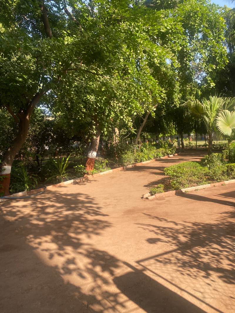 walking near me in Lion Sharad Mehta Garden in spring