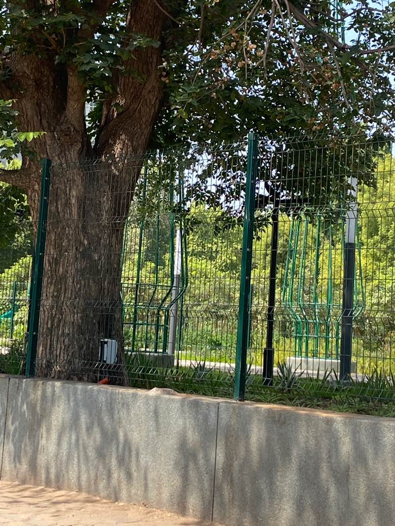 walking near me in Childrens Traffic Park in spring