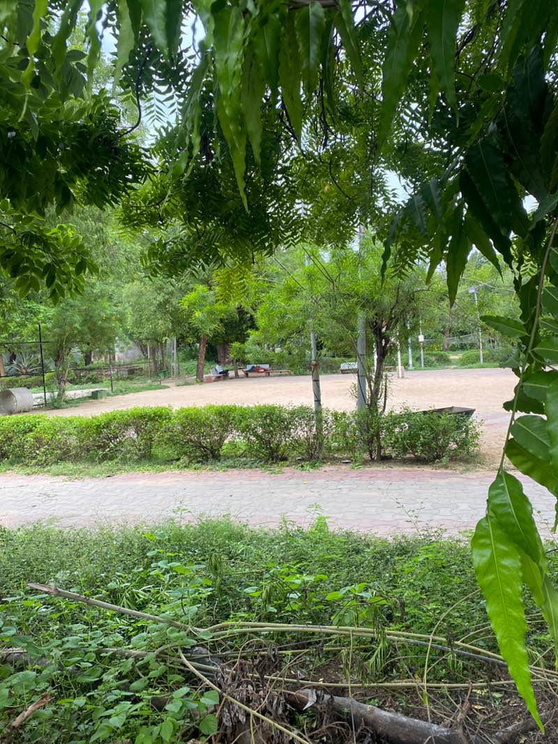 walking near me in Biladi Bag (Mahatma Gandhi garden) in summer