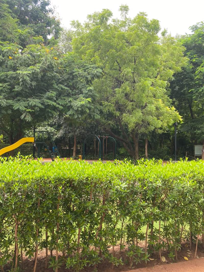 walking near me in Sukan Park in autumn