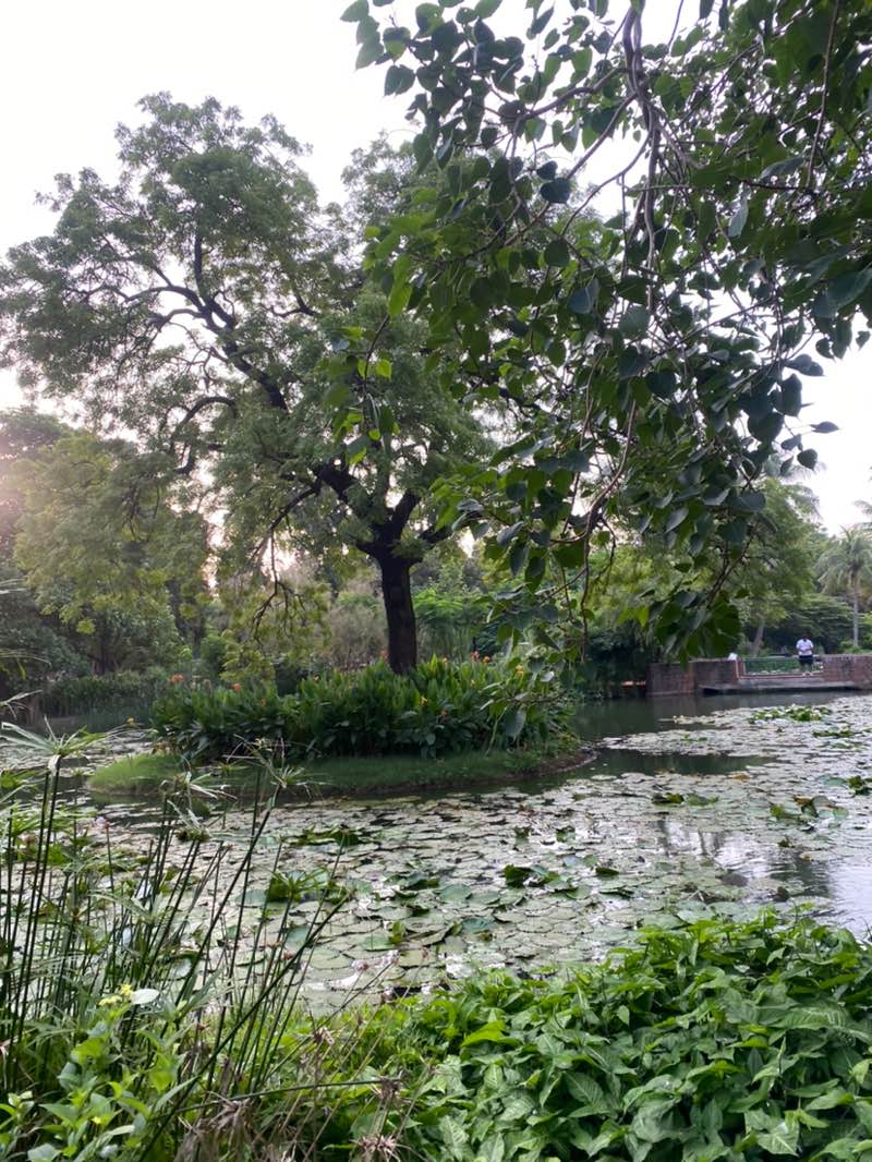 walking near me in Parimal Garden in autumn