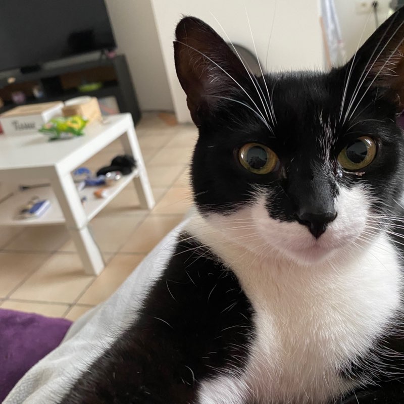 Sandrine 🇧🇪 icon