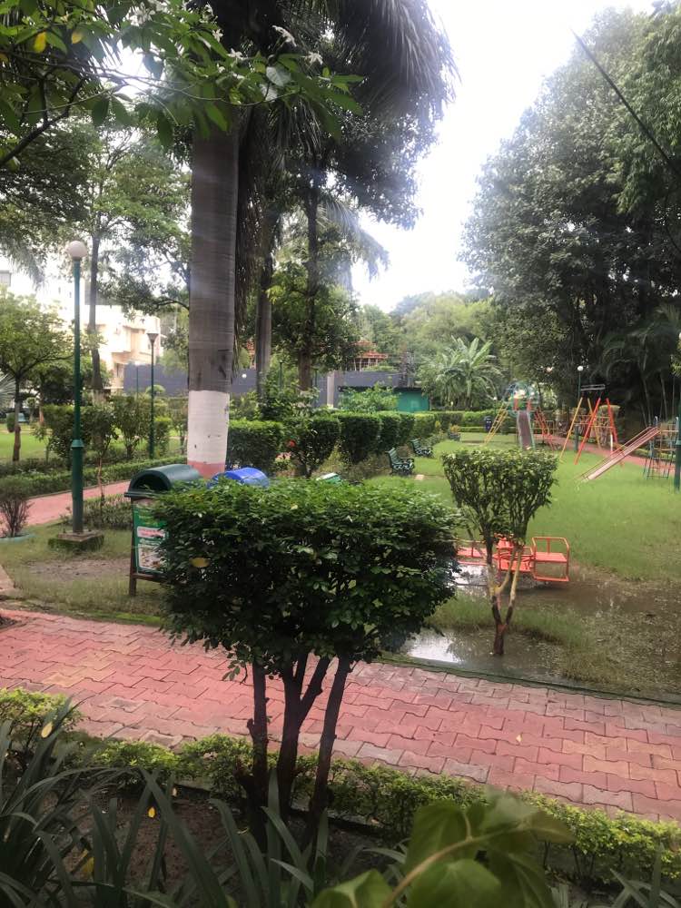 walking near me in Late Shree Sharad Chandra Kemkar Udyaan in autumn