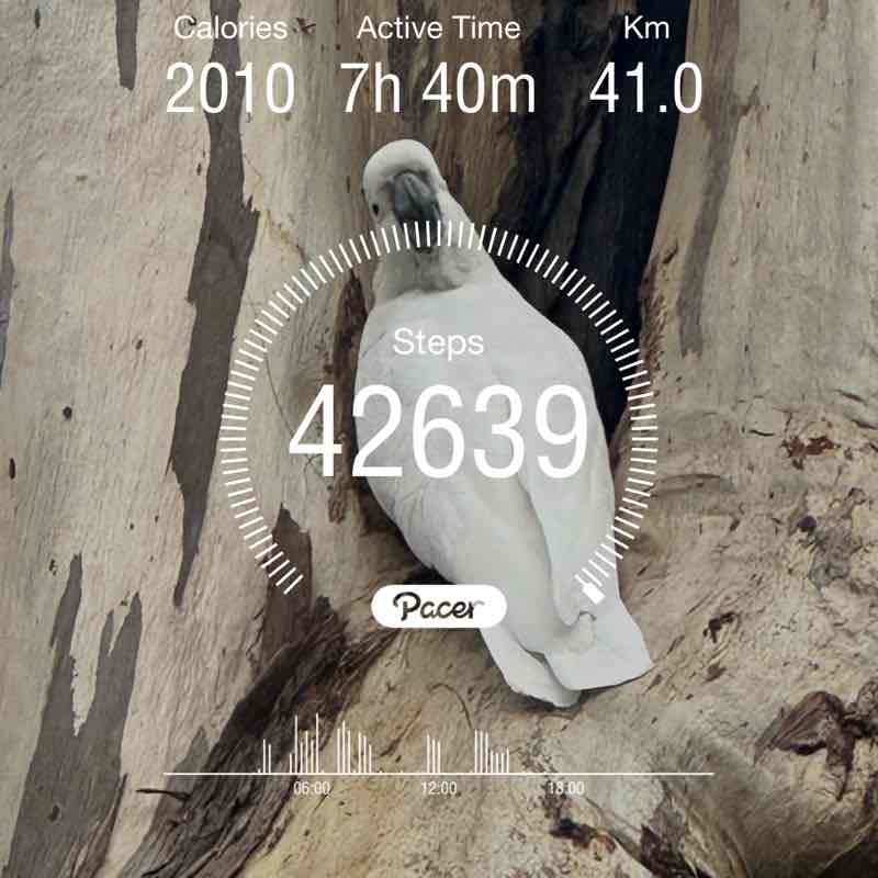 🐨 Grant 🇦🇺 @ 🇦🇺 Parra 🐨 post 1